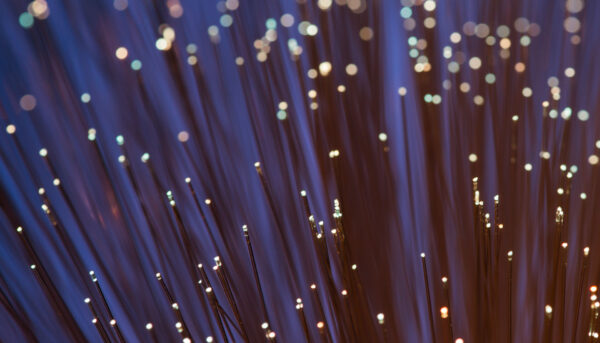close-up-of-shiny-fiber-optics
