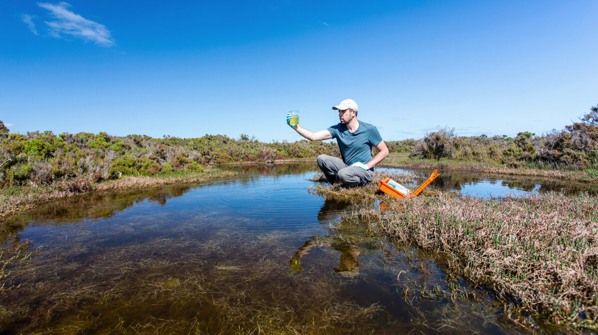 scientist taking water sample from lake