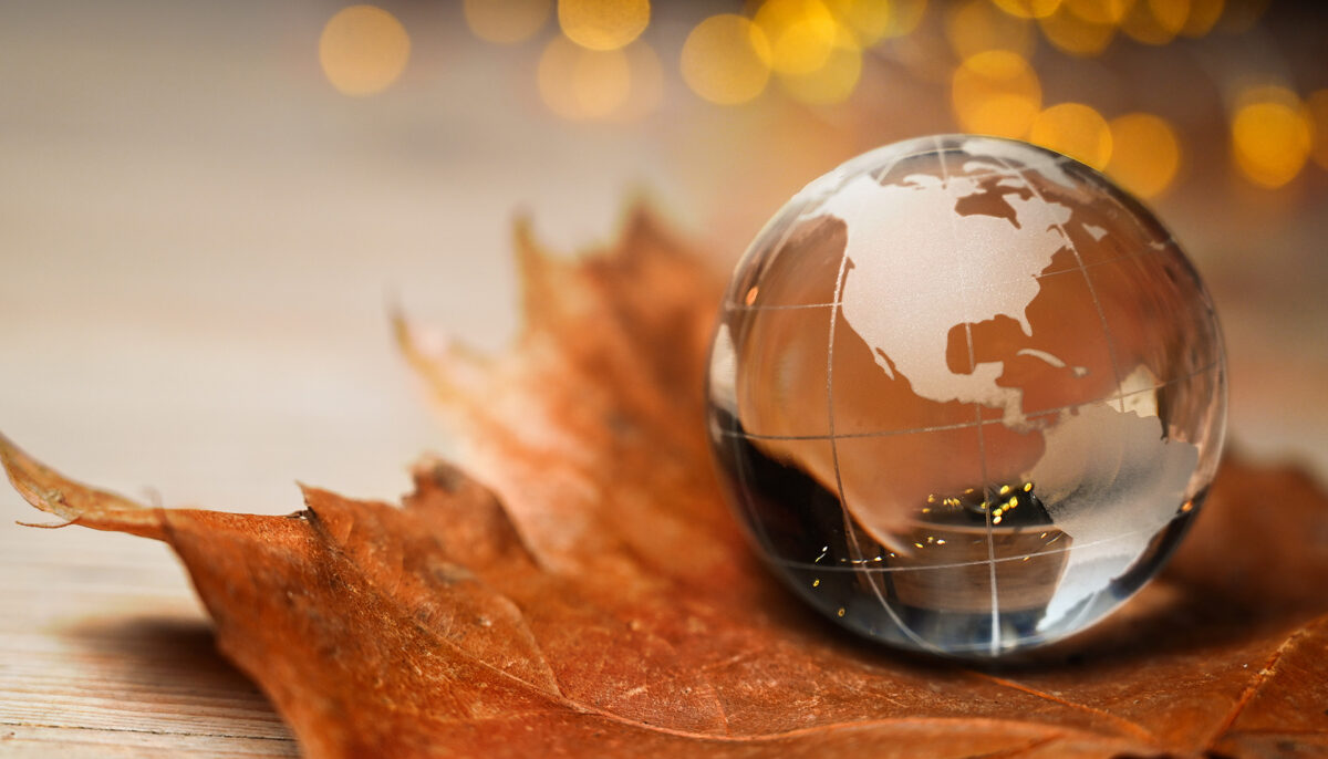 glass globe paperweight sitting on top of a maple leaf