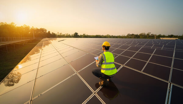 worker standing on solar panels looking out to horizon at sunset