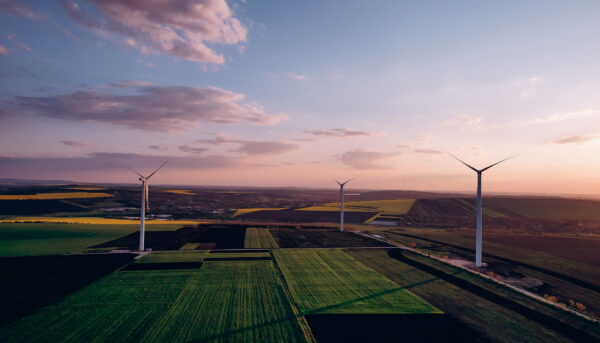 wind turbines in a field at sunrise