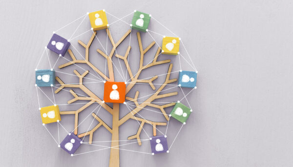 wooden blocks placed on branches of a cutout tree, depicting a family tree